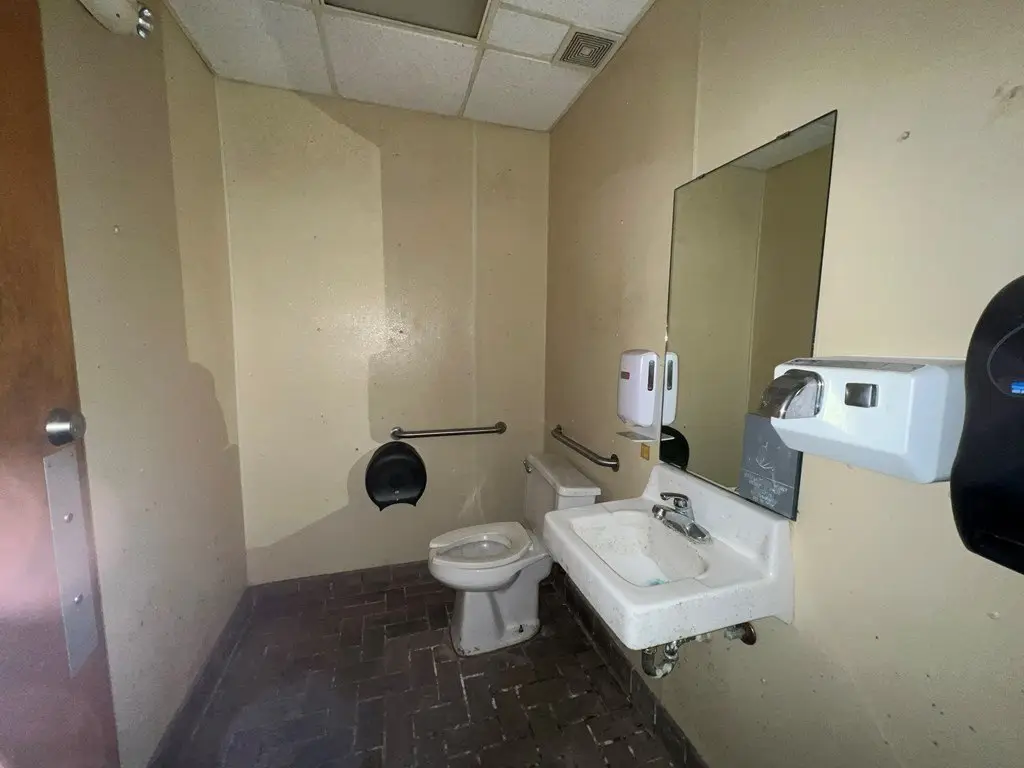 Picture 19