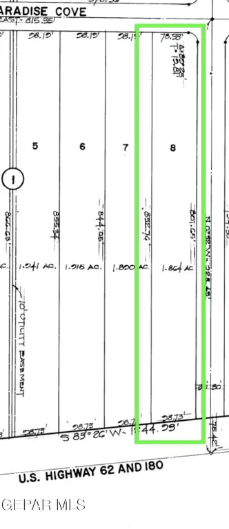 Picture 5