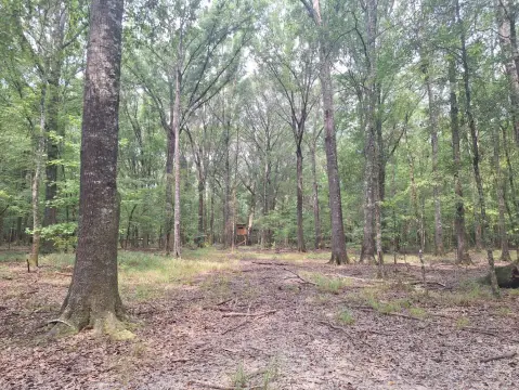 Hunting Land with Pole Barn