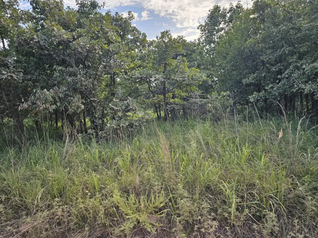 Picture 20