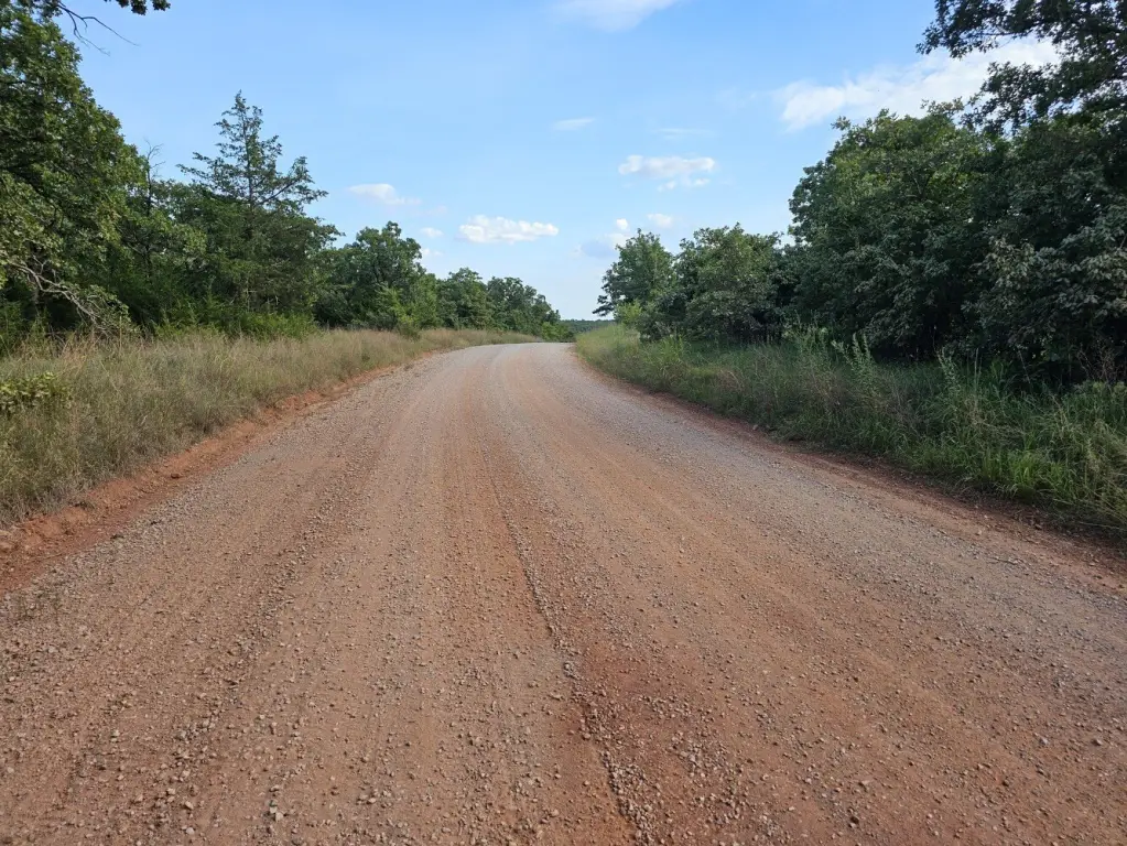 Picture 21