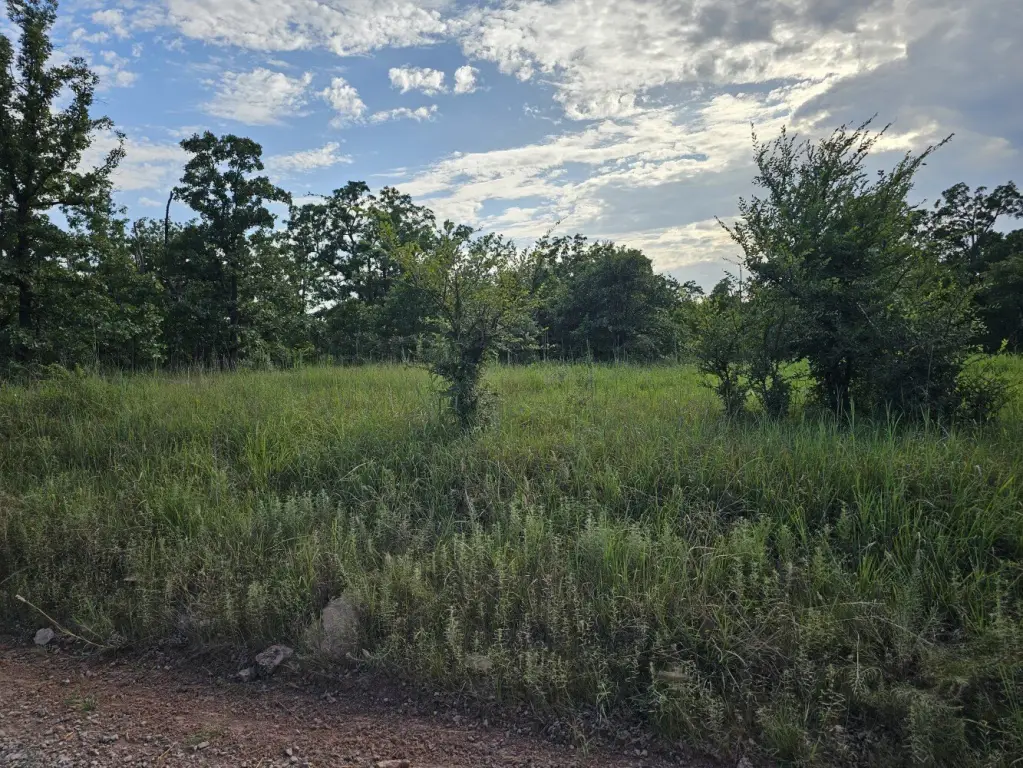 Picture 23