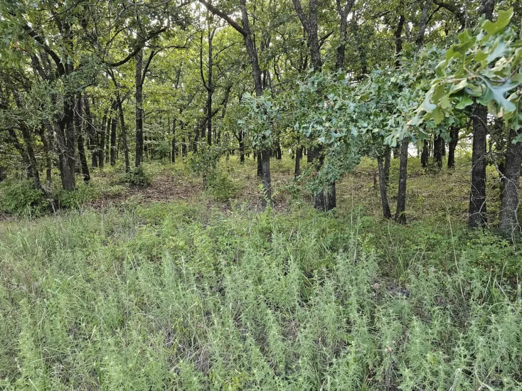 Picture 3