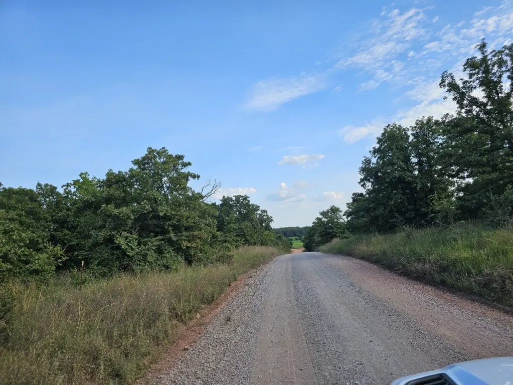 Picture 27