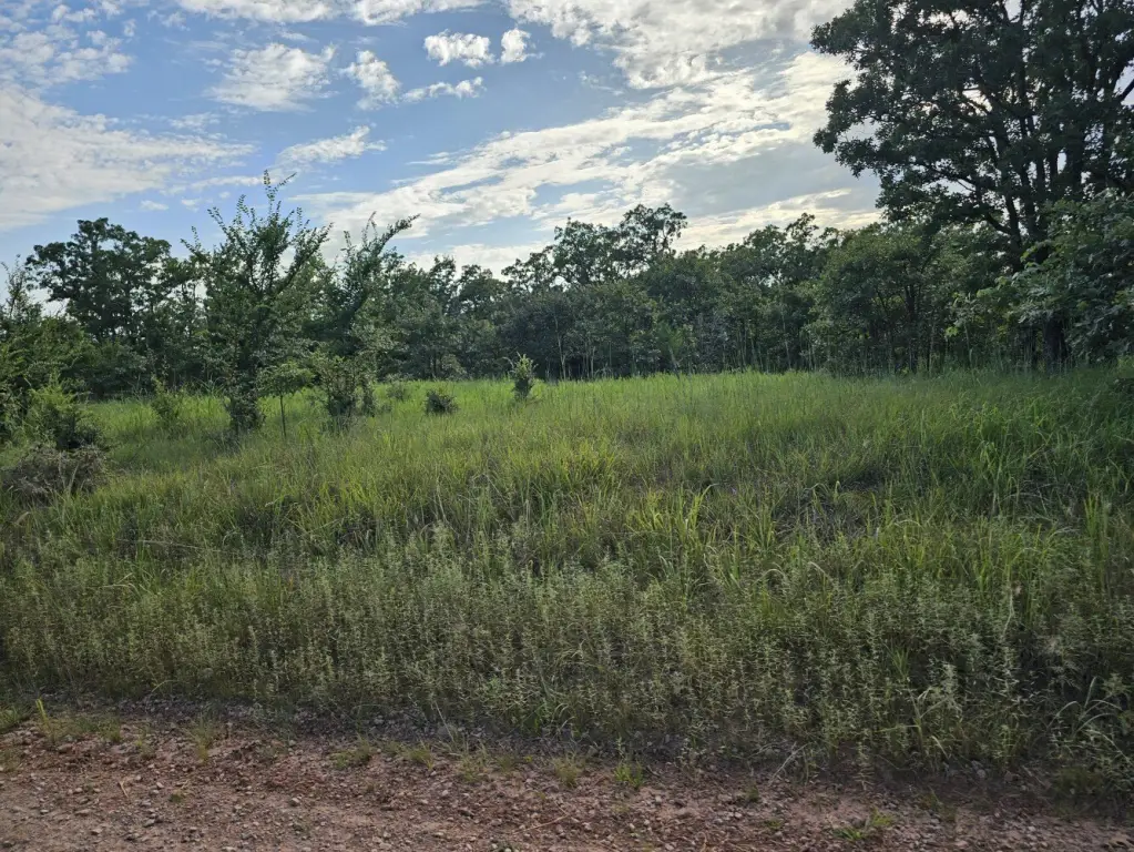 Picture 22