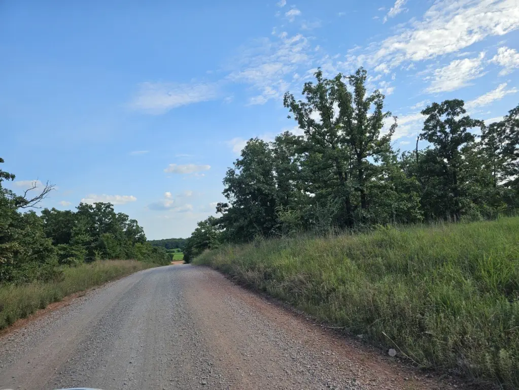 Picture 24