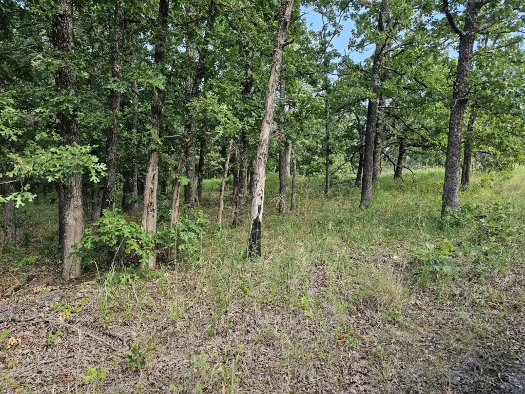 Picture 16