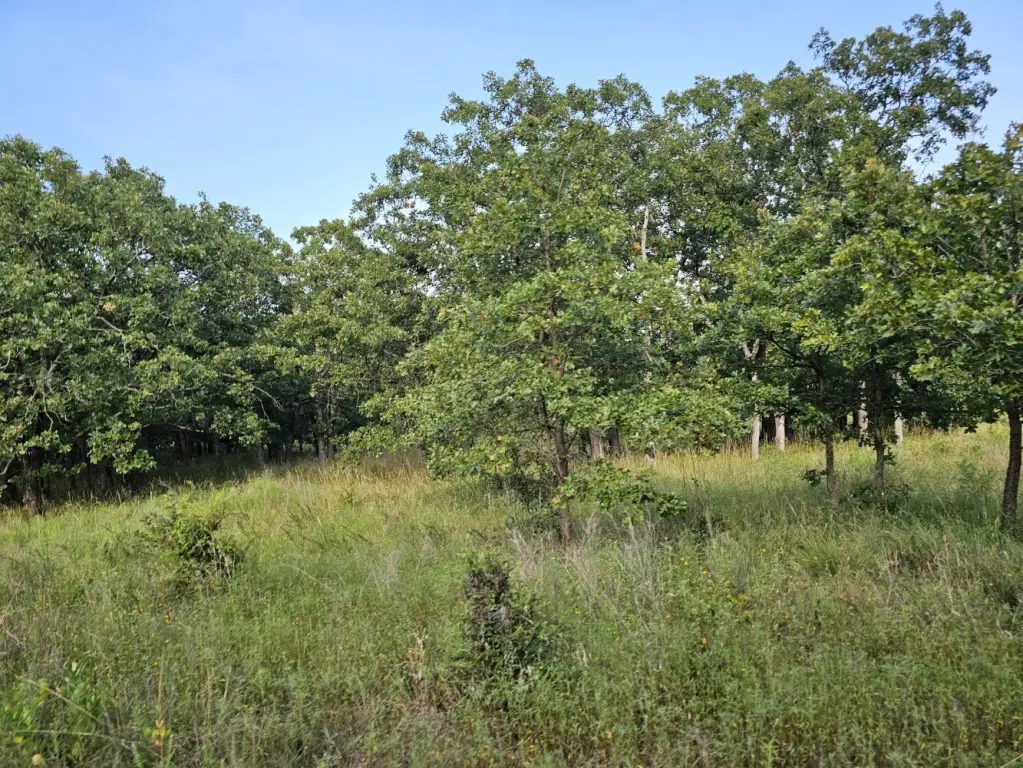Picture 19