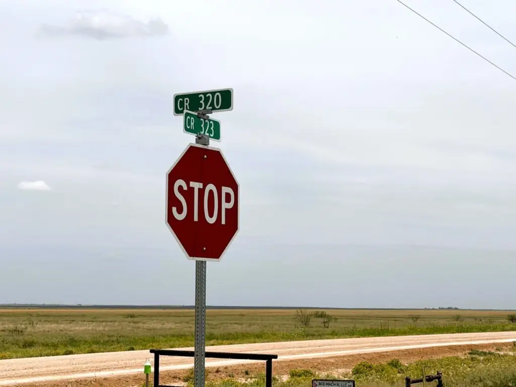 Picture 33