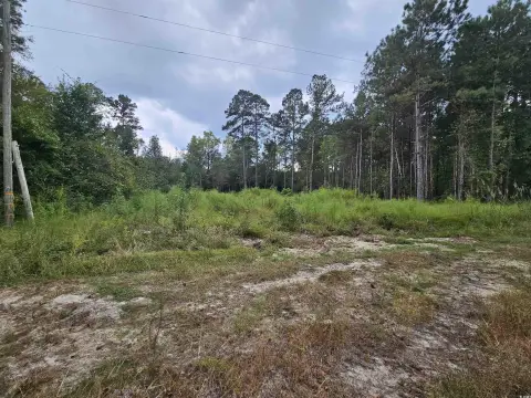 Residential Lot in Marion, SC
