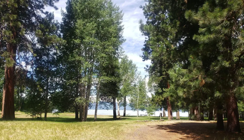 Picture 9
