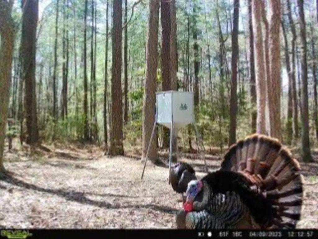 Picture 2