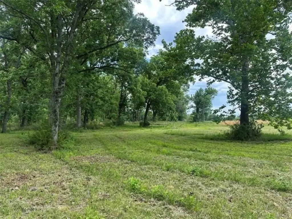 Picture 4