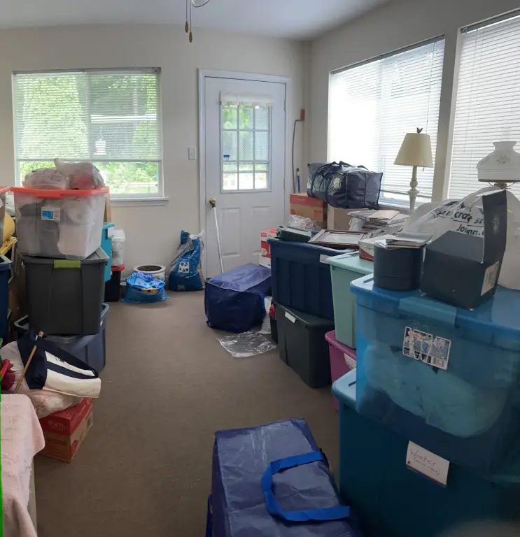 Picture 16