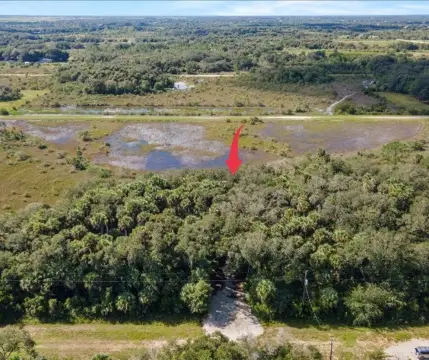 Okeechobee County Land Opportunity