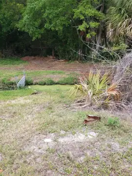 Buildable Lot in Tarpon Springs