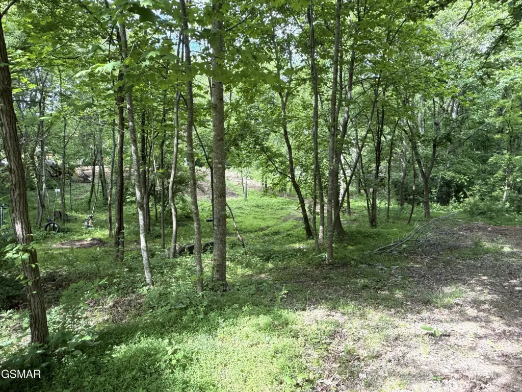 Picture 8