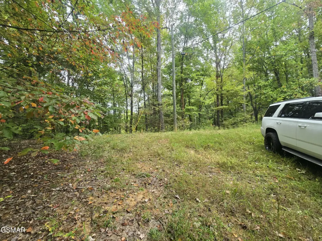 Picture 5