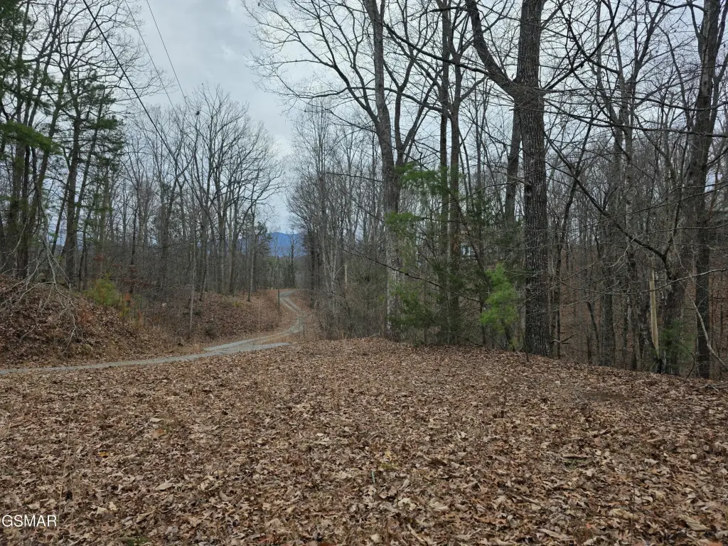 Picture 15