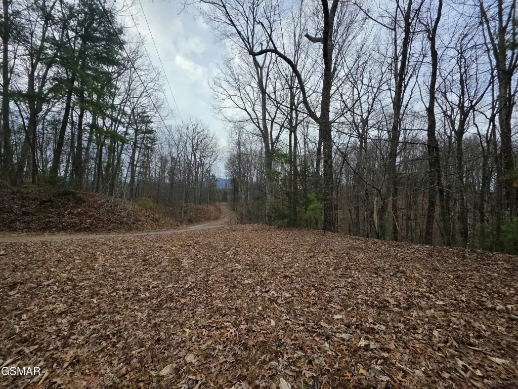 Picture 18