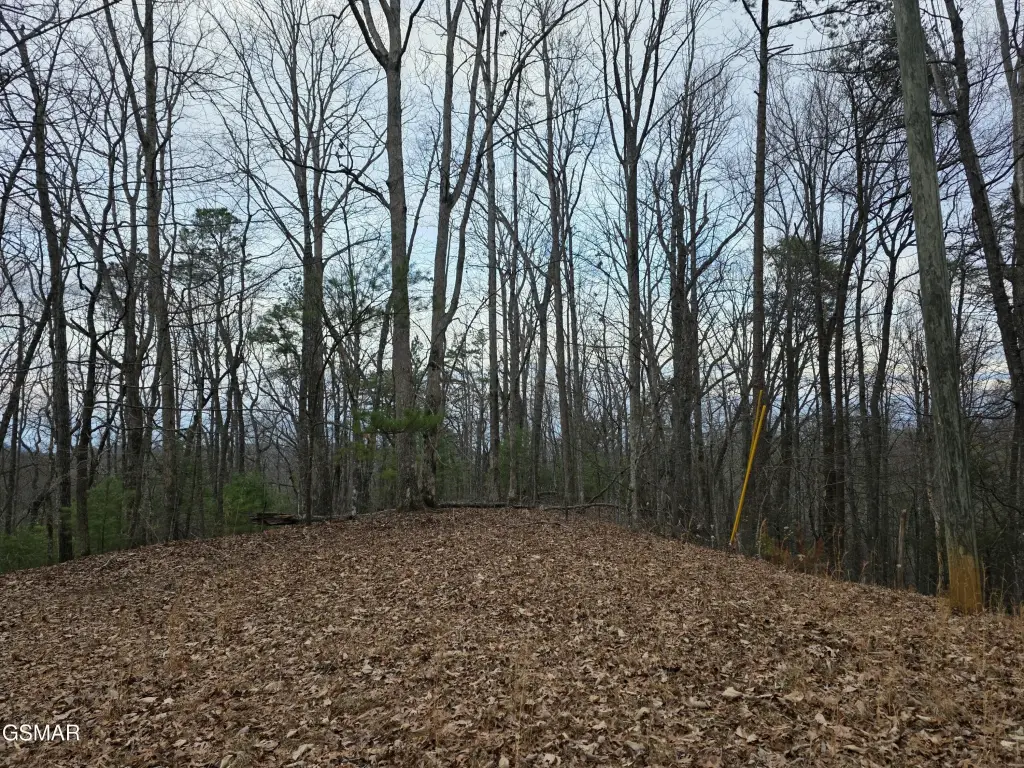 Picture 14