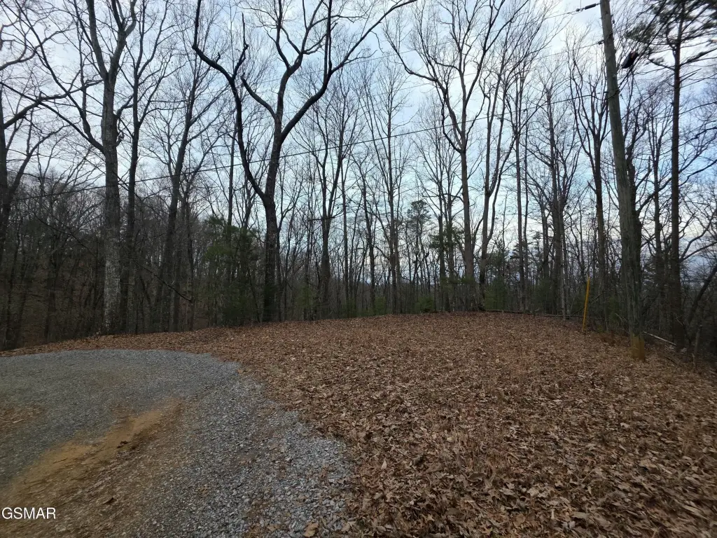 Picture 17