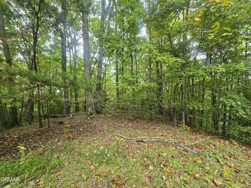 Picture 19