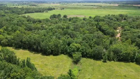 Unrestricted Hunting Land in Crockett