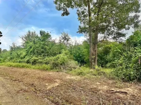Unrestricted Acreage Near Lake Toledo