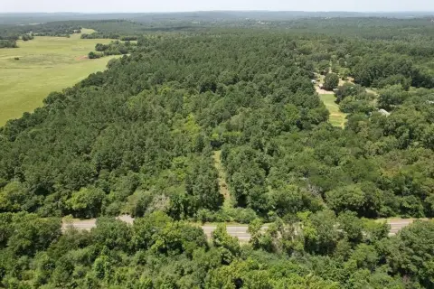 Undeveloped Land Near Alto, Texas