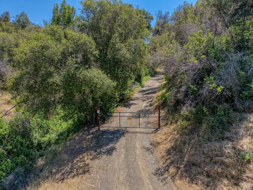 Picture 29