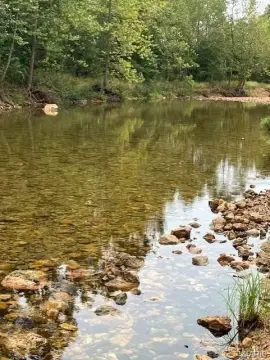 Ozark Land with Spring-Fed Creek