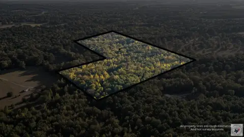 Wooded Hunting Land