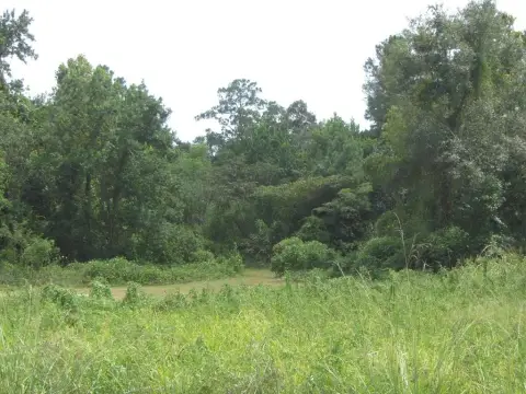 Picayune Vacant Land For Sale