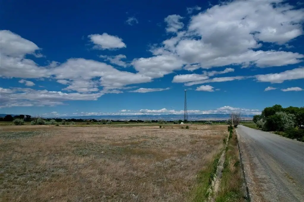 Picture 7