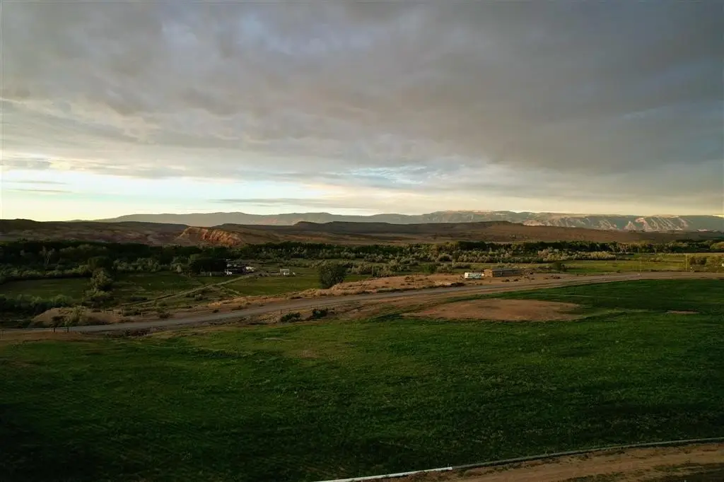 Picture 8