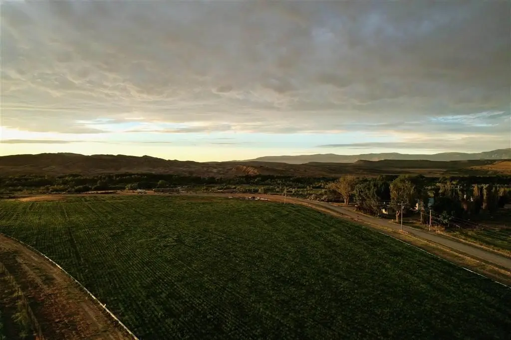 Picture 9