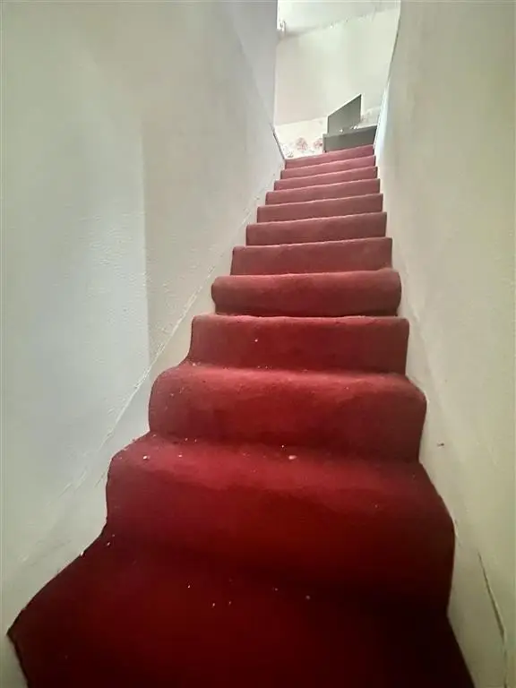 Picture 19