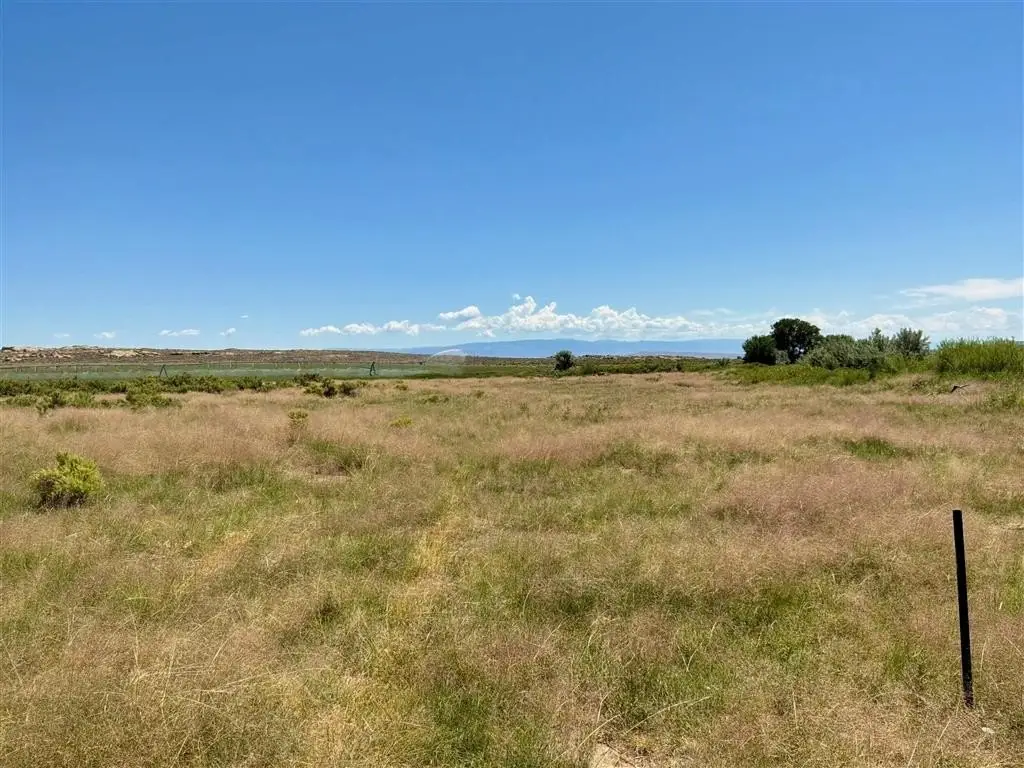 Picture 29
