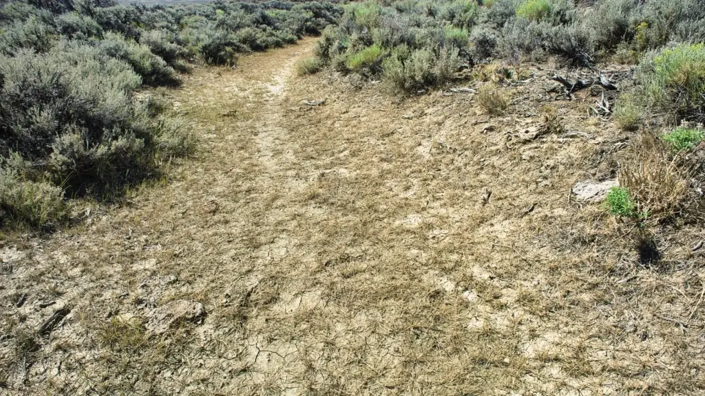 Picture 48