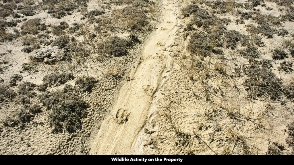 Picture 16