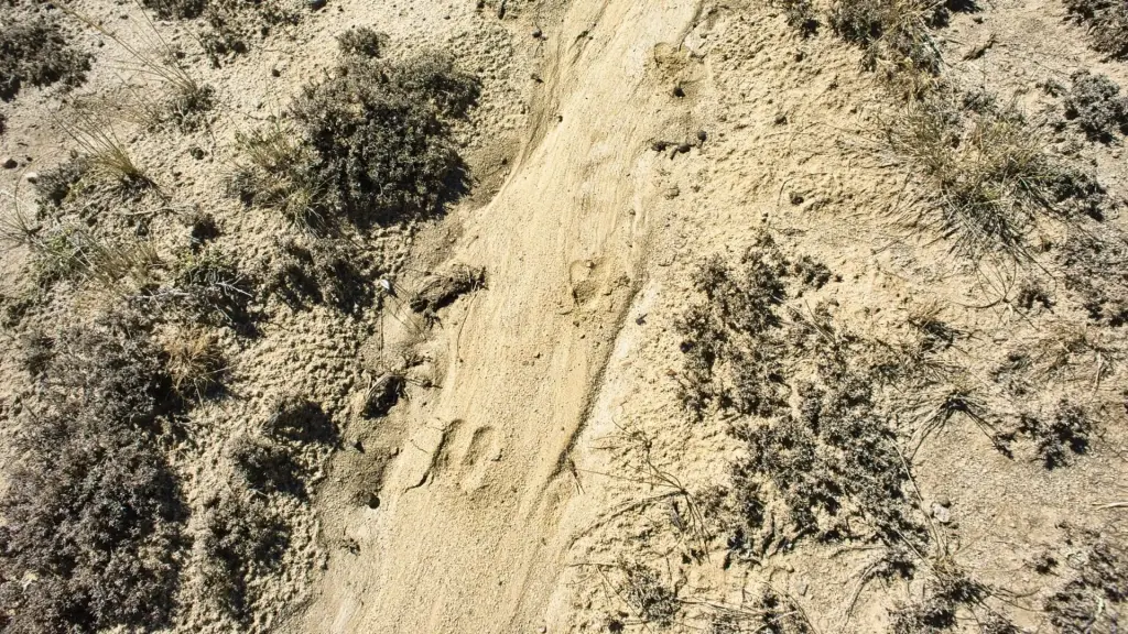Picture 49