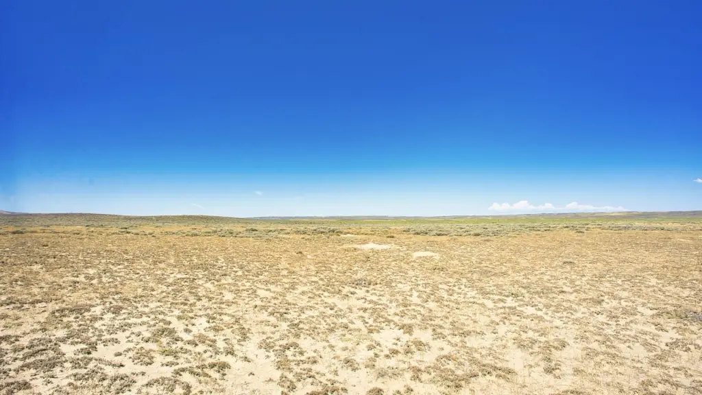 Picture 38
