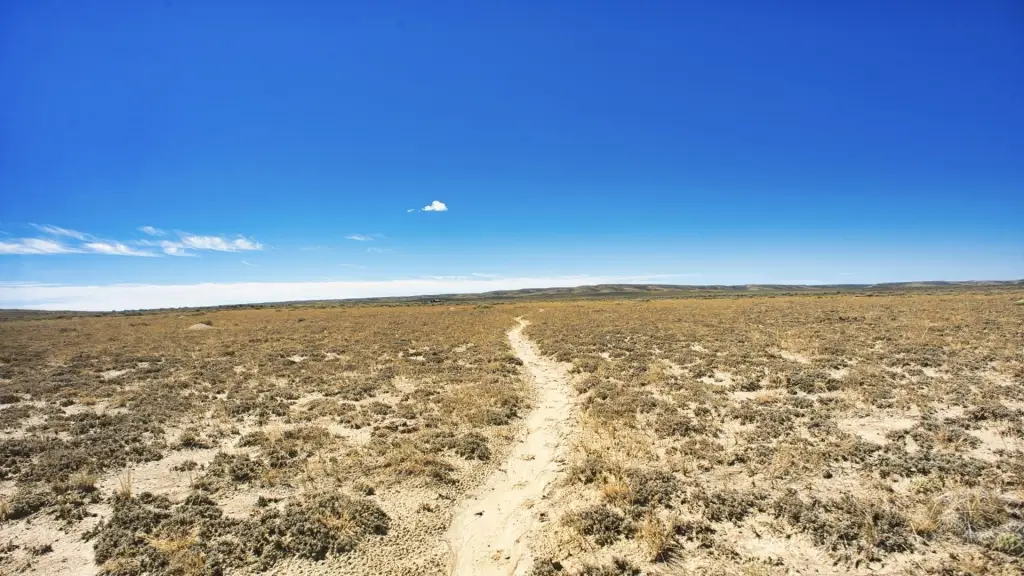 Picture 50