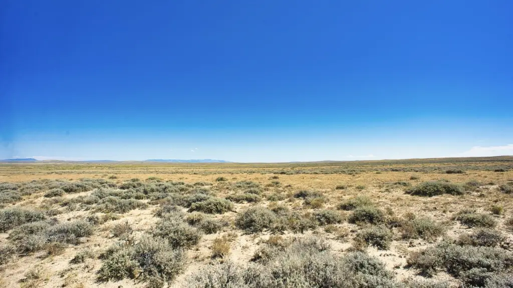 Picture 40