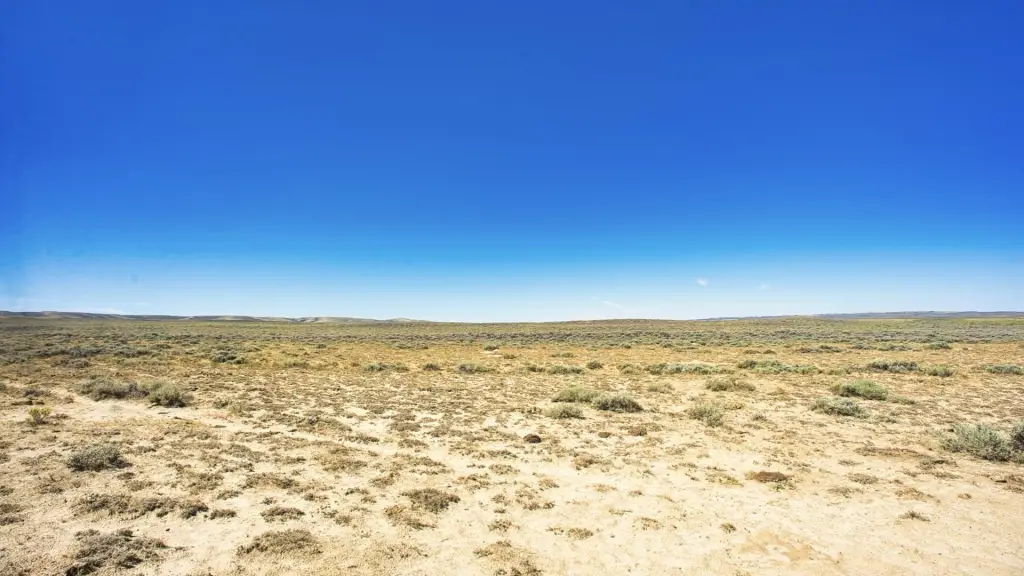 Picture 39