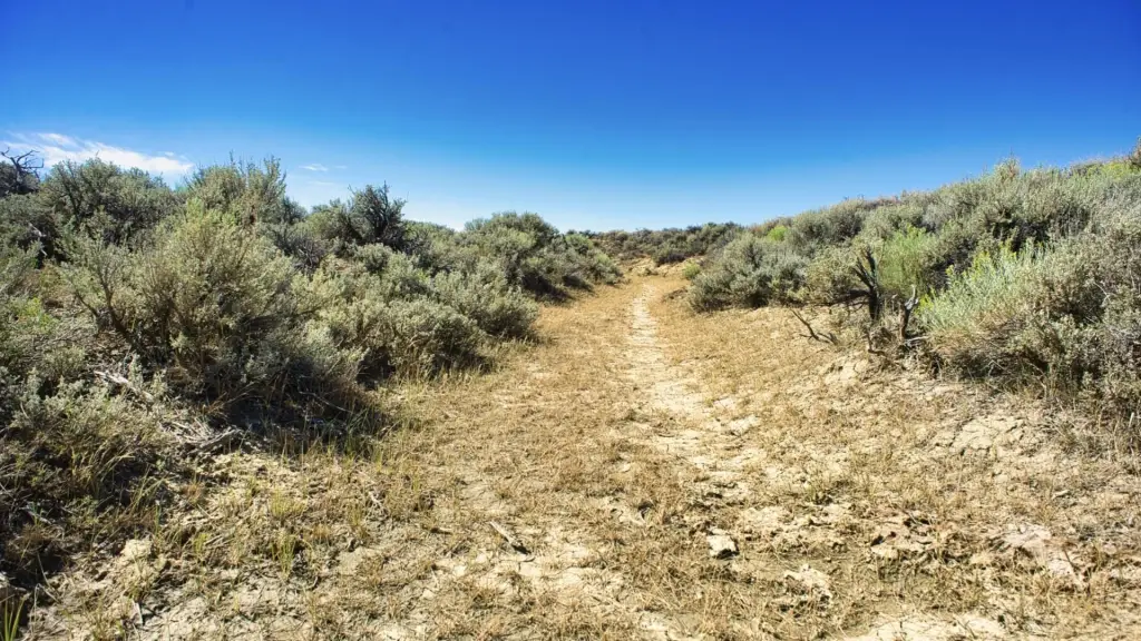 Picture 44