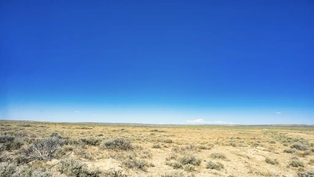 Picture 41