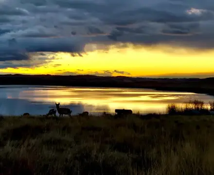 Residential Land with Mountain Views