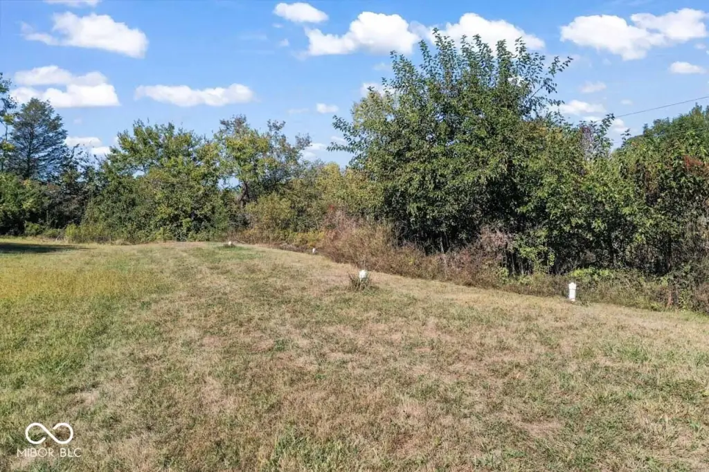 Picture 15